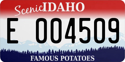 ID license plate E004509