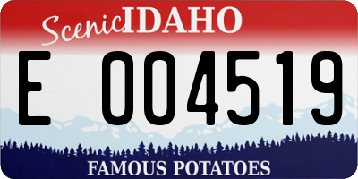 ID license plate E004519