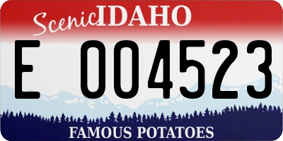 ID license plate E004523