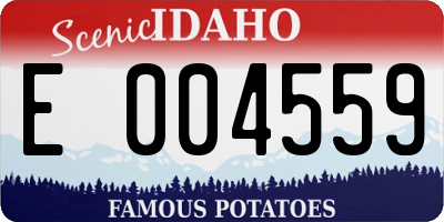 ID license plate E004559