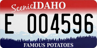 ID license plate E004596