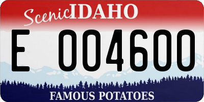 ID license plate E004600