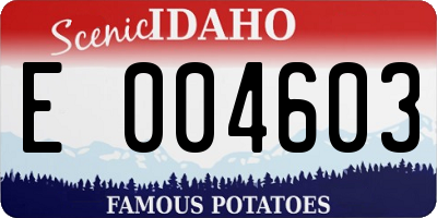 ID license plate E004603