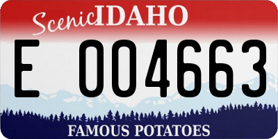 ID license plate E004663