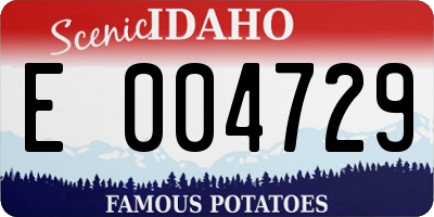 ID license plate E004729