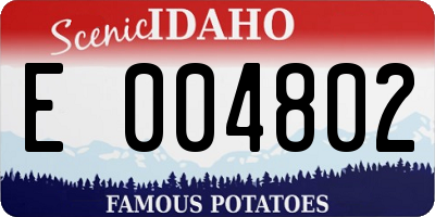 ID license plate E004802