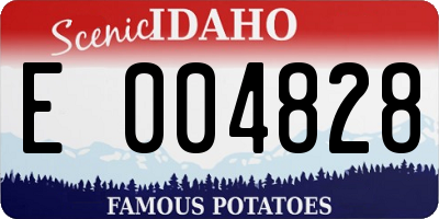 ID license plate E004828
