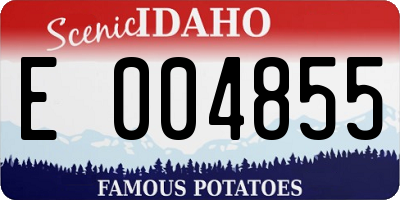 ID license plate E004855