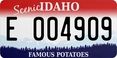 ID license plate E004909
