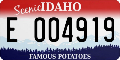 ID license plate E004919