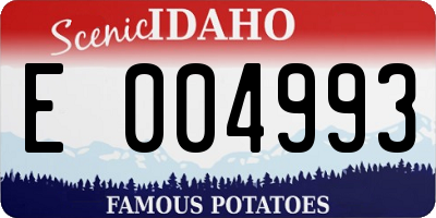 ID license plate E004993