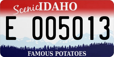 ID license plate E005013