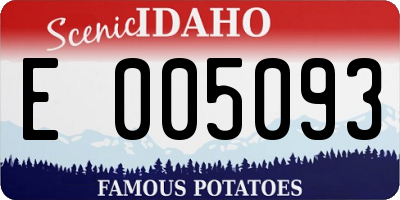 ID license plate E005093