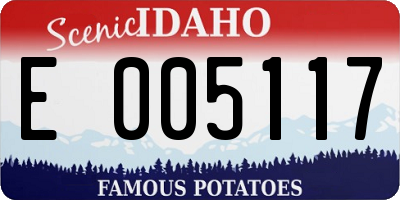 ID license plate E005117