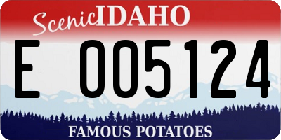 ID license plate E005124