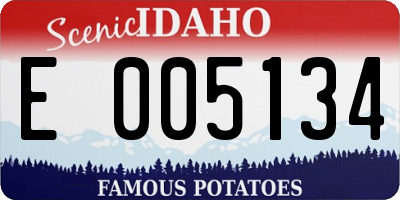 ID license plate E005134