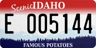 ID license plate E005144