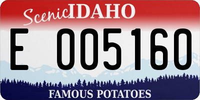 ID license plate E005160