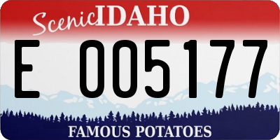 ID license plate E005177