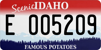 ID license plate E005209