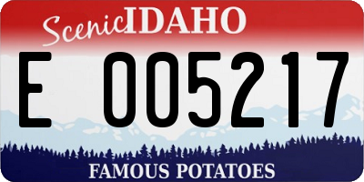 ID license plate E005217