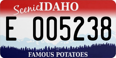 ID license plate E005238