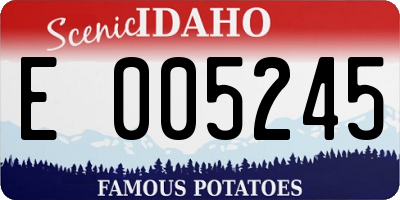 ID license plate E005245