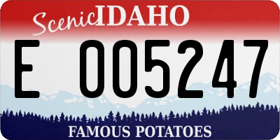 ID license plate E005247