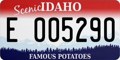 ID license plate E005290