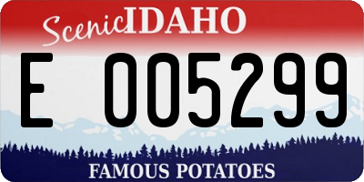 ID license plate E005299