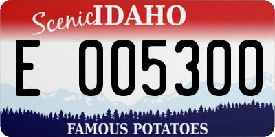 ID license plate E005300