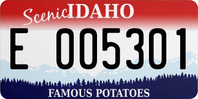 ID license plate E005301