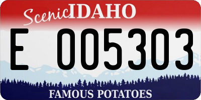 ID license plate E005303