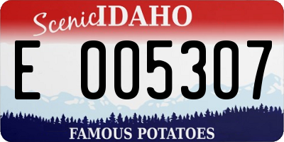 ID license plate E005307