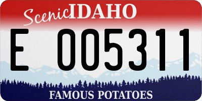 ID license plate E005311