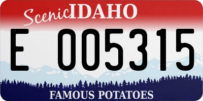 ID license plate E005315