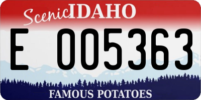 ID license plate E005363