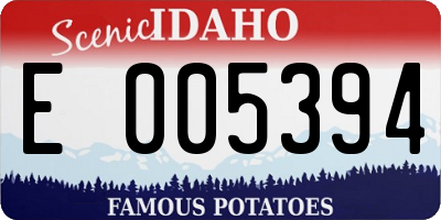 ID license plate E005394