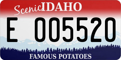 ID license plate E005520