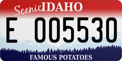 ID license plate E005530