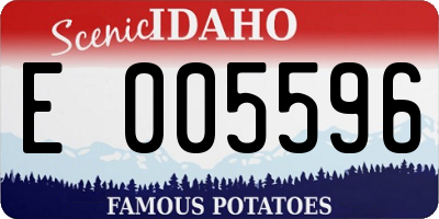 ID license plate E005596