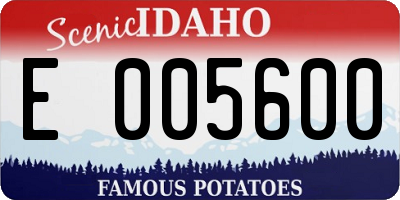 ID license plate E005600