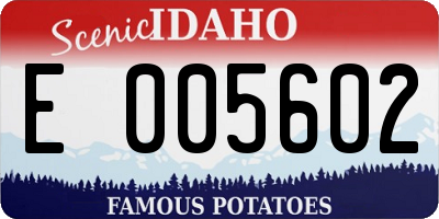 ID license plate E005602