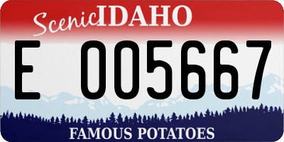 ID license plate E005667