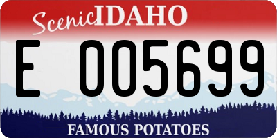 ID license plate E005699