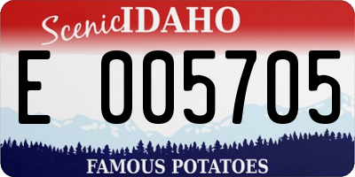 ID license plate E005705