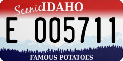ID license plate E005711