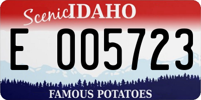 ID license plate E005723