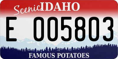 ID license plate E005803