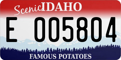 ID license plate E005804